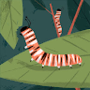 Meet your Posher, Katherine